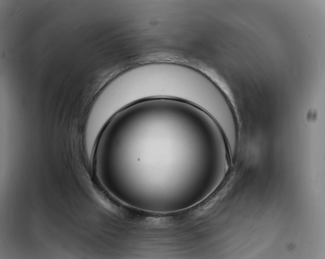 X0000102020057200807251341
