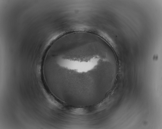 X0000102020058200807251341