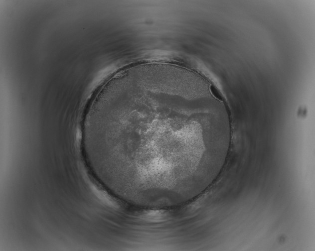 X0000102020059200807251341