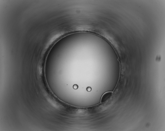 X0000102020060200807251341