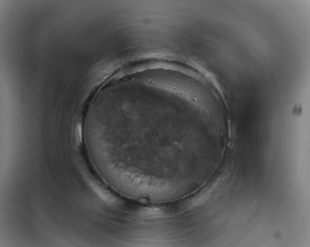 X0000102020061200807251341