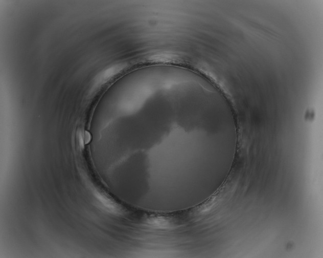 X0000102020062200807251341