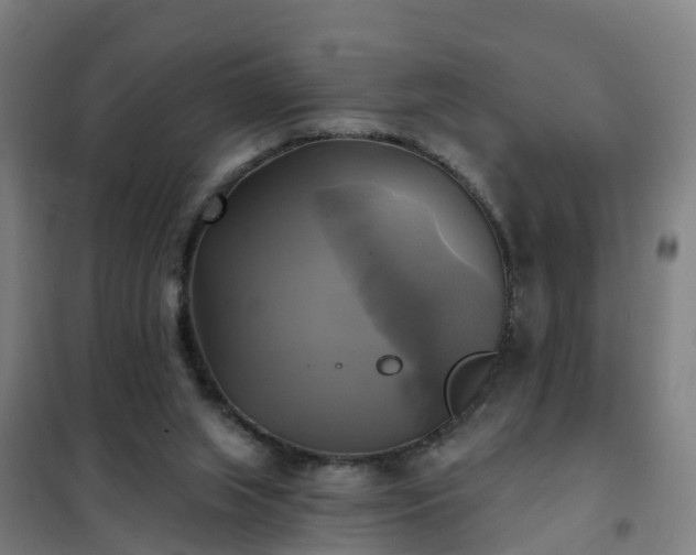 X0000102020063200807251341