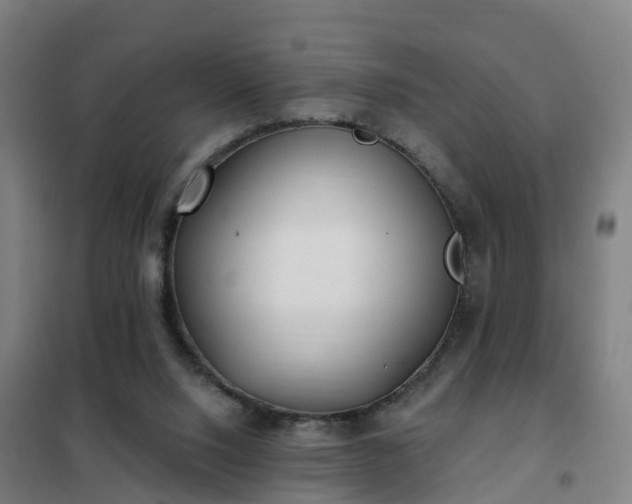 X0000102020064200807251341