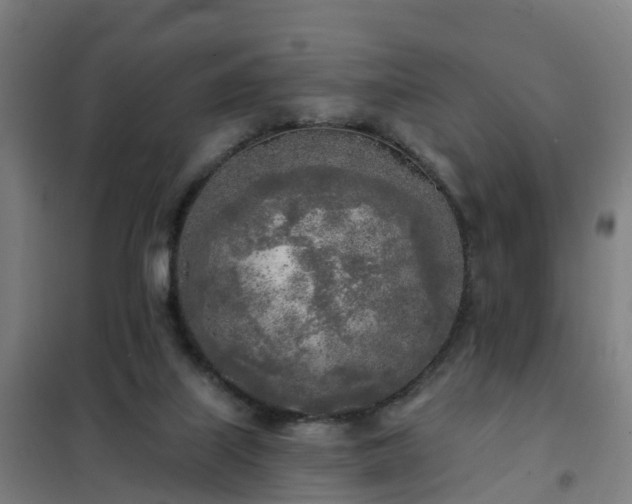 X0000102020067200807251341
