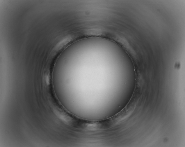X0000102020068200807251341