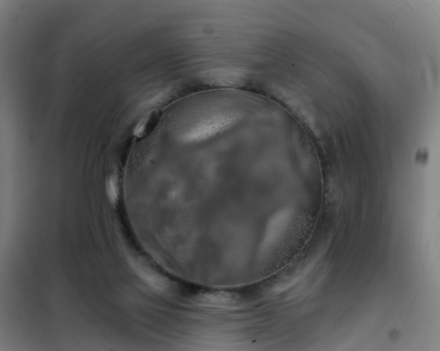 X0000102020069200807251341