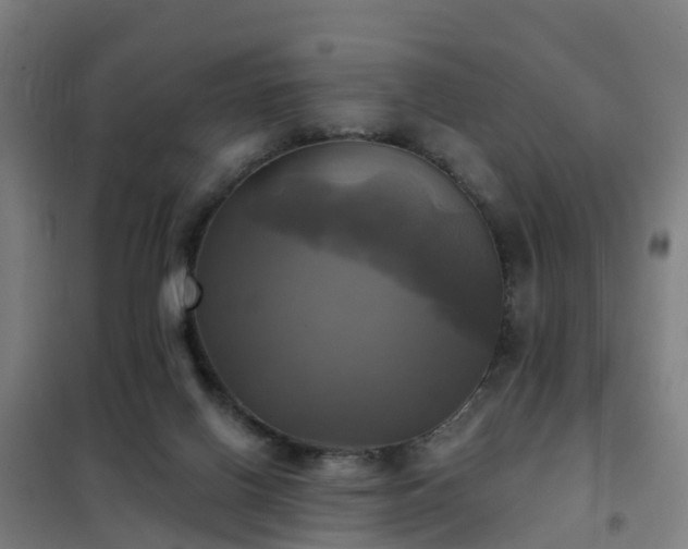 X0000102020070200807251341