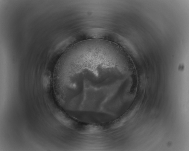 X0000102020073200807251341