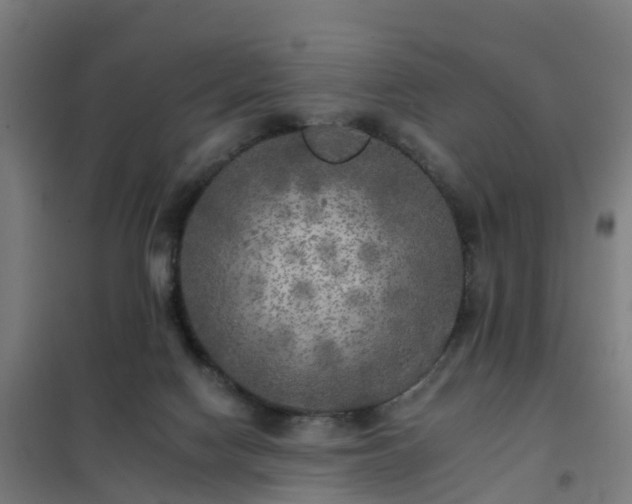 X0000102020074200807251341
