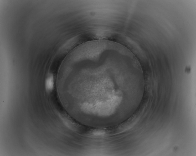 X0000102020075200807251341