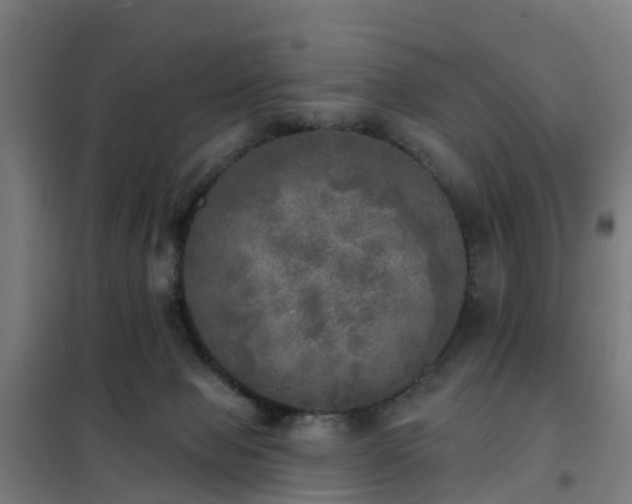 X0000102020077200807251341