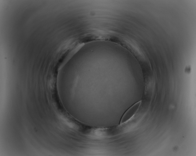 X0000102020078200807251341