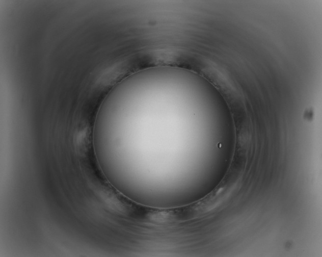 X0000102020079200807251341