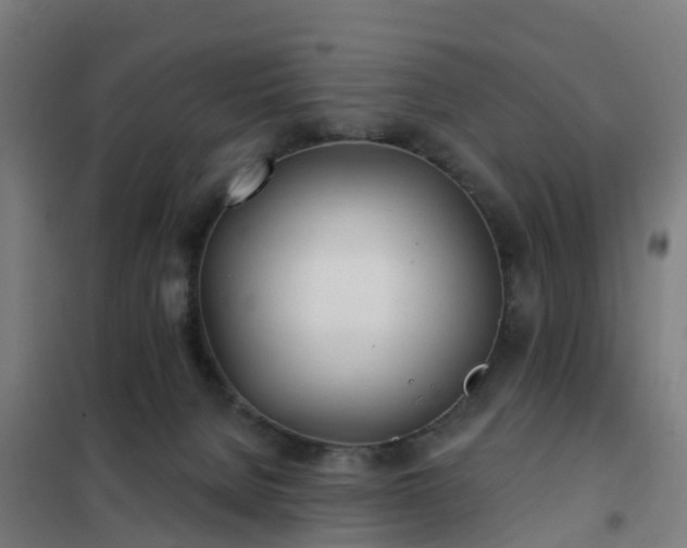 X0000102020080200807251341