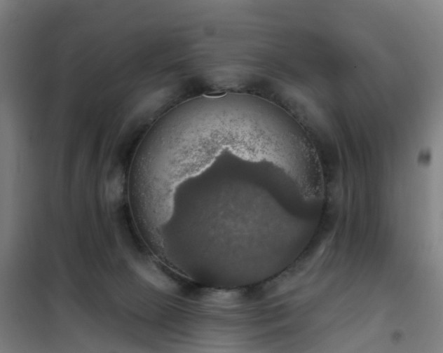 X0000102020081200807251341