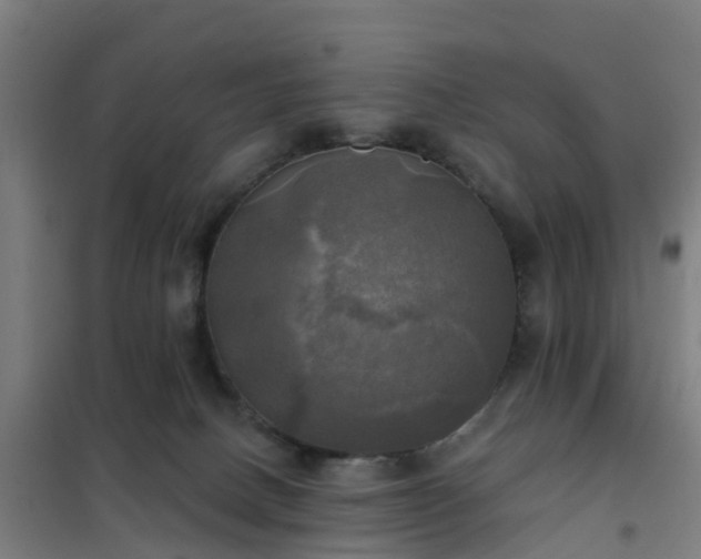 X0000102020082200807251341