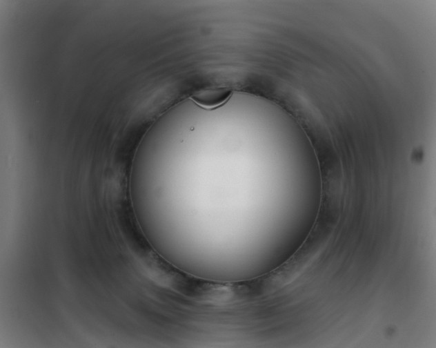 X0000102020083200807251341