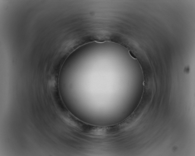 X0000102020084200807251341