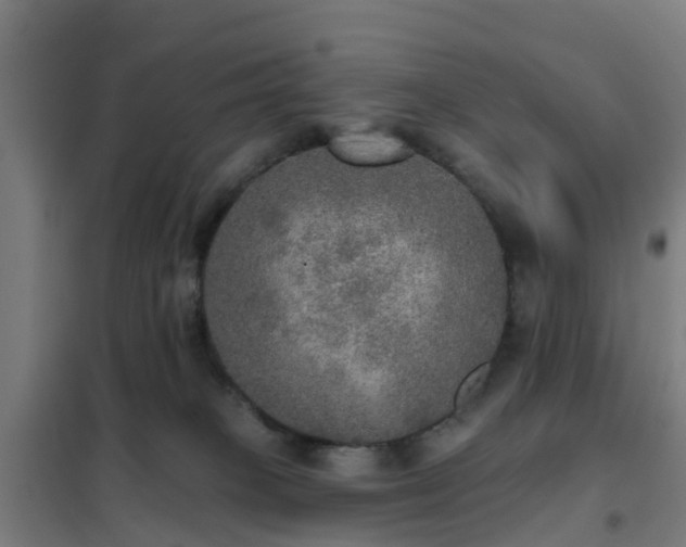 X0000102020085200807251341