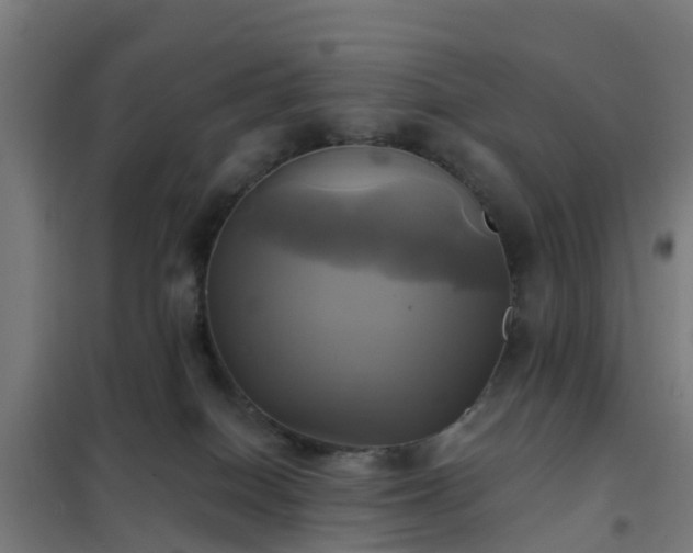 X0000102020086200807251341
