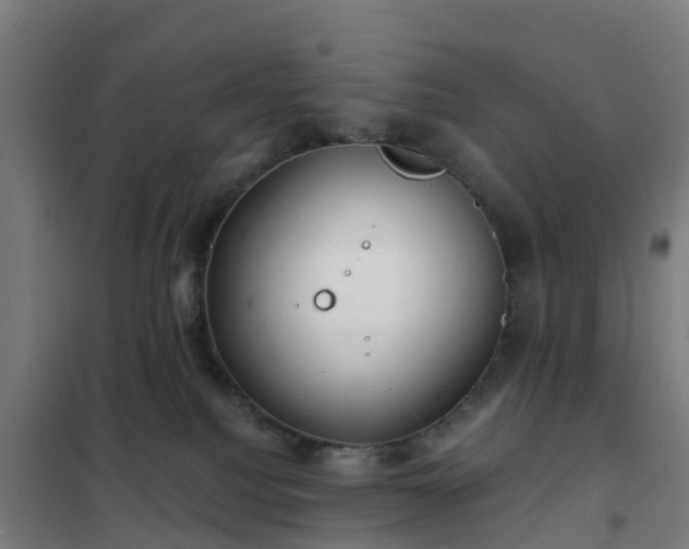 X0000102020088200807251341