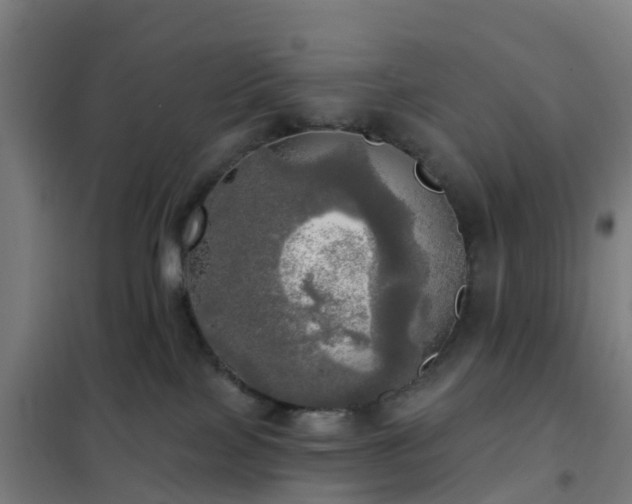 X0000102020089200807251341