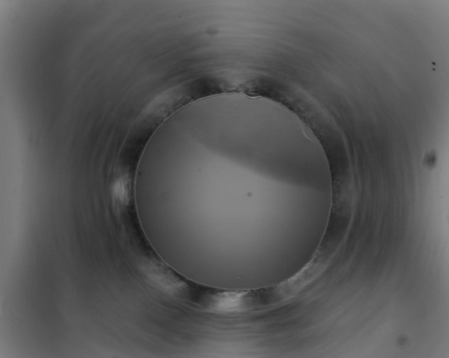 X0000102020090200807251341