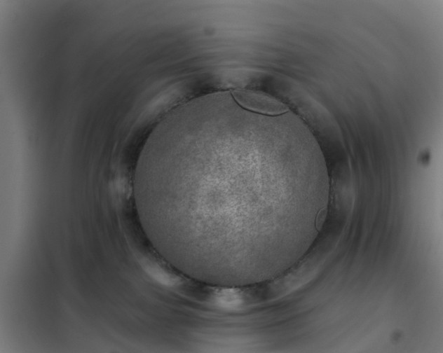 X0000102020091200807251341