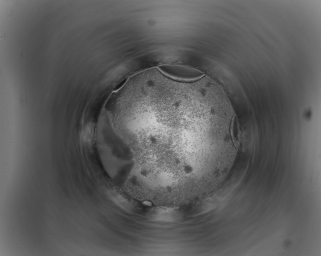 X0000102020093200807251341