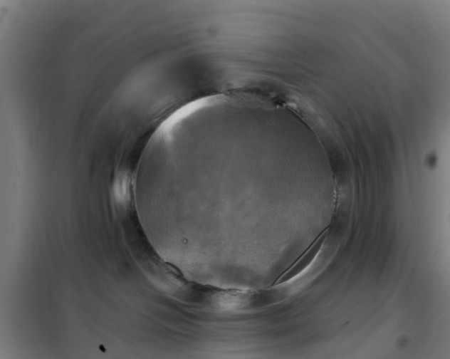 X0000102020094200807251342