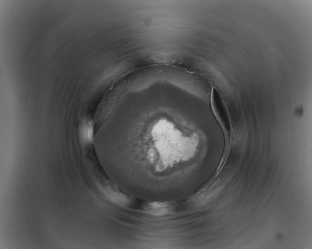 X0000102020095200807251342