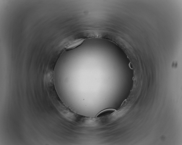 X0000102020096200807251342