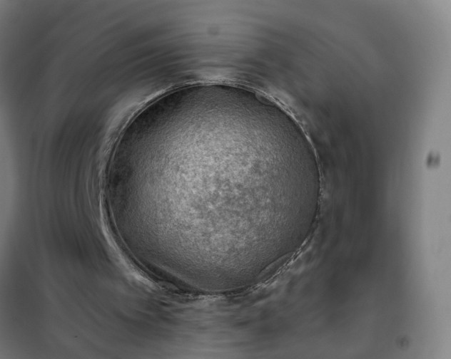 X0000102020097200807251341