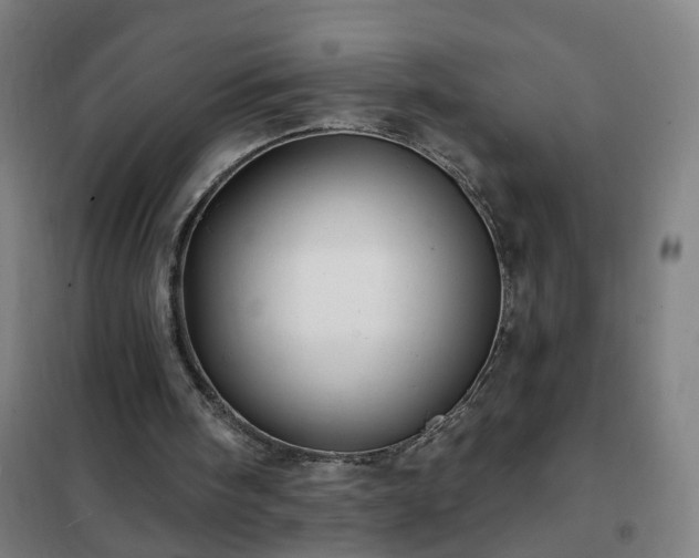 X0000102020098200807251341