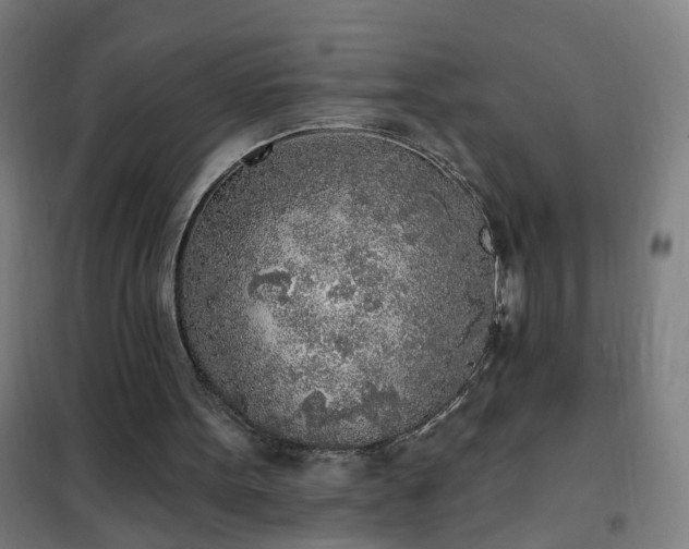 X0000102020099200807251341