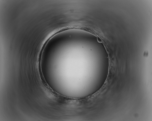 X0000102020100200807251341