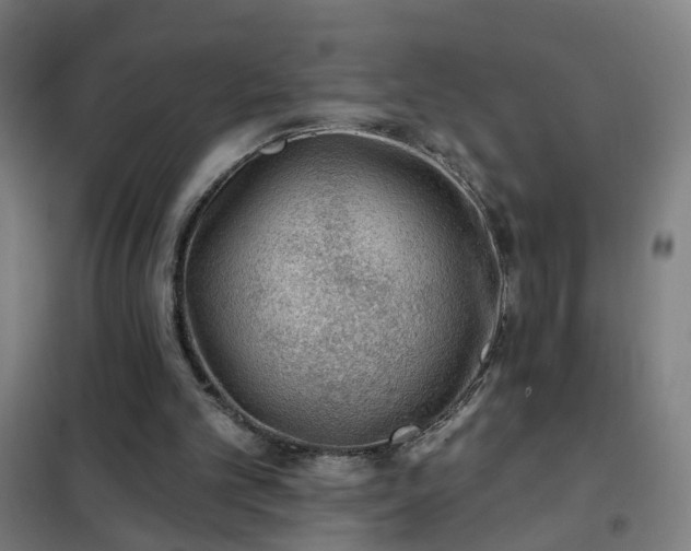 X0000102020101200807251341