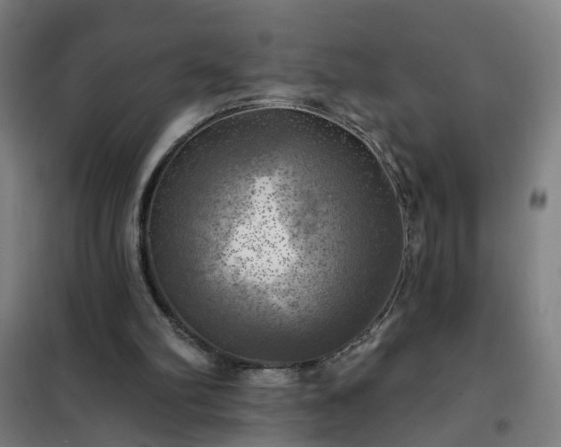X0000102020102200807251341