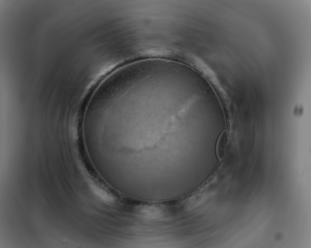 X0000102020106200807251341