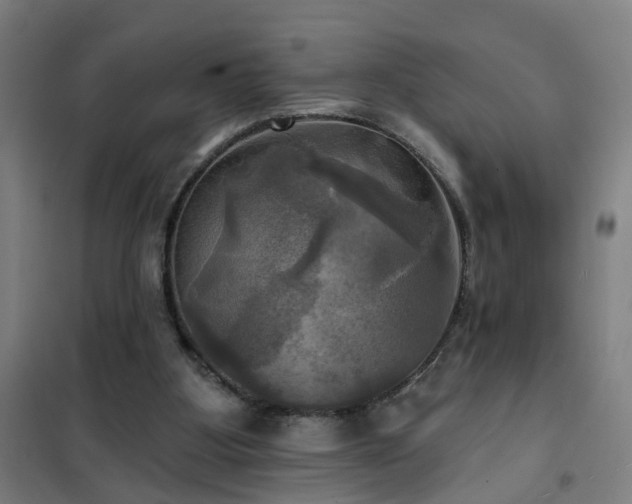 X0000102020107200807251341