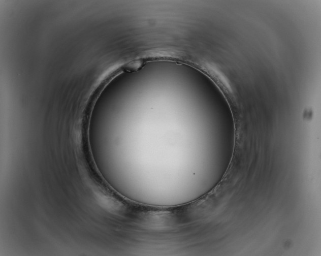 X0000102020108200807251341