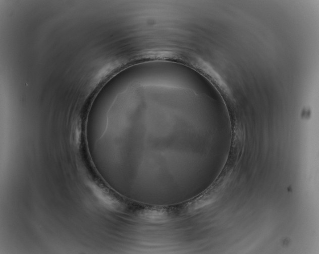 X0000102020110200807251341