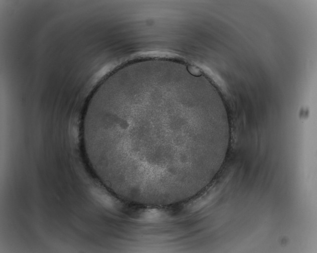 X0000102020111200807251341
