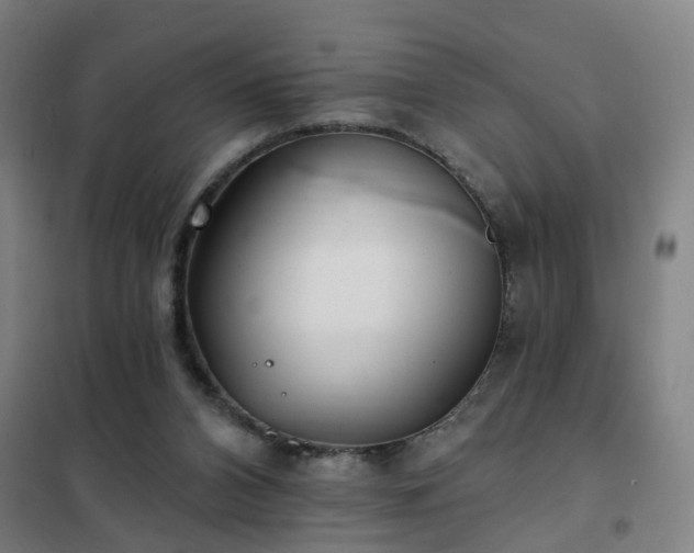 X0000102020112200807251341