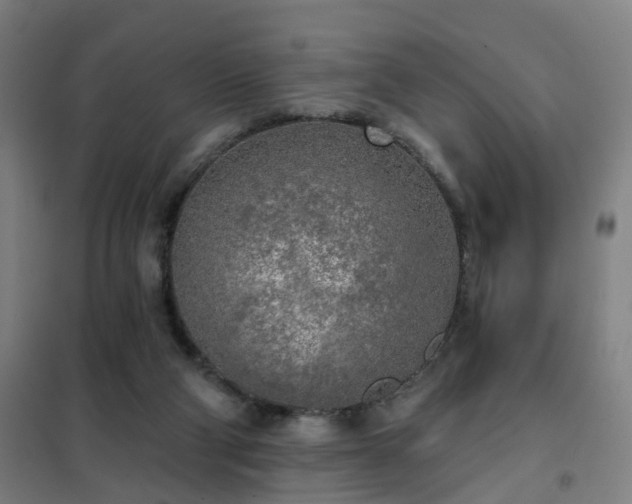 X0000102020114200807251341