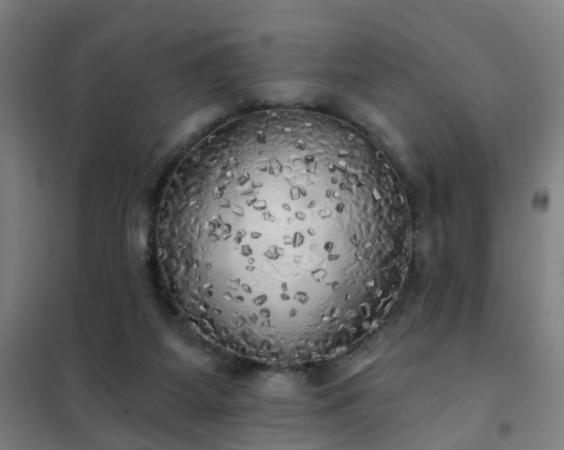 X0000102020115200807251341