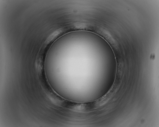 X0000102020116200807251341