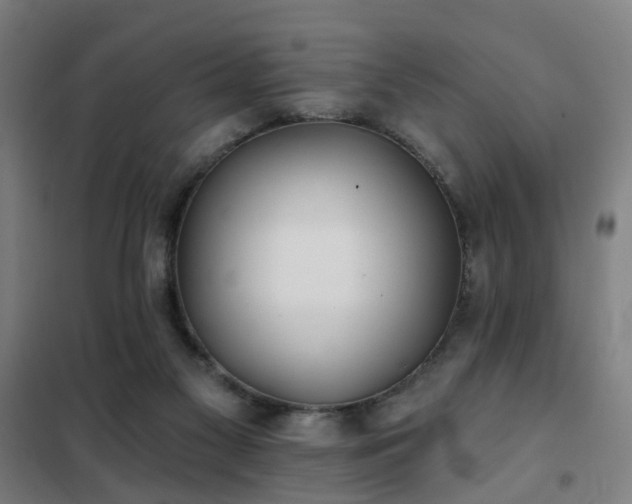 X0000102020117200807251341