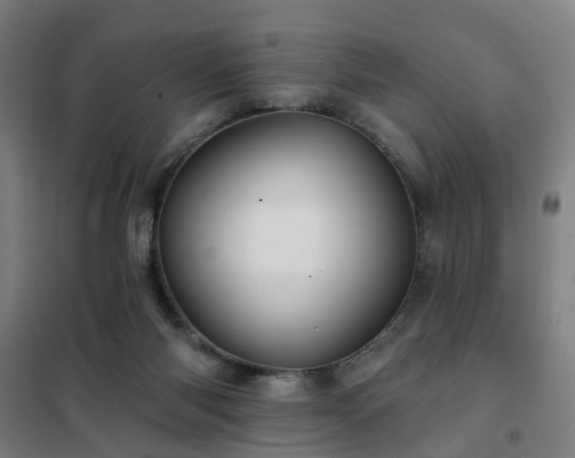 X0000102020118200807251341